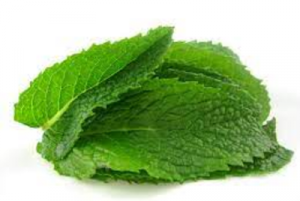 فوائد النعناع.