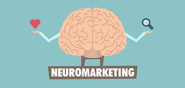 علم الأعصاب